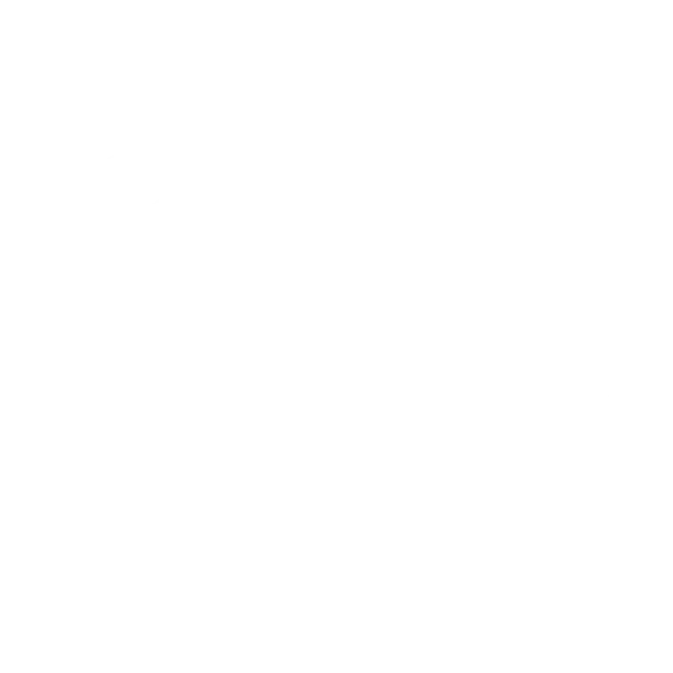 11-icono-geochaco